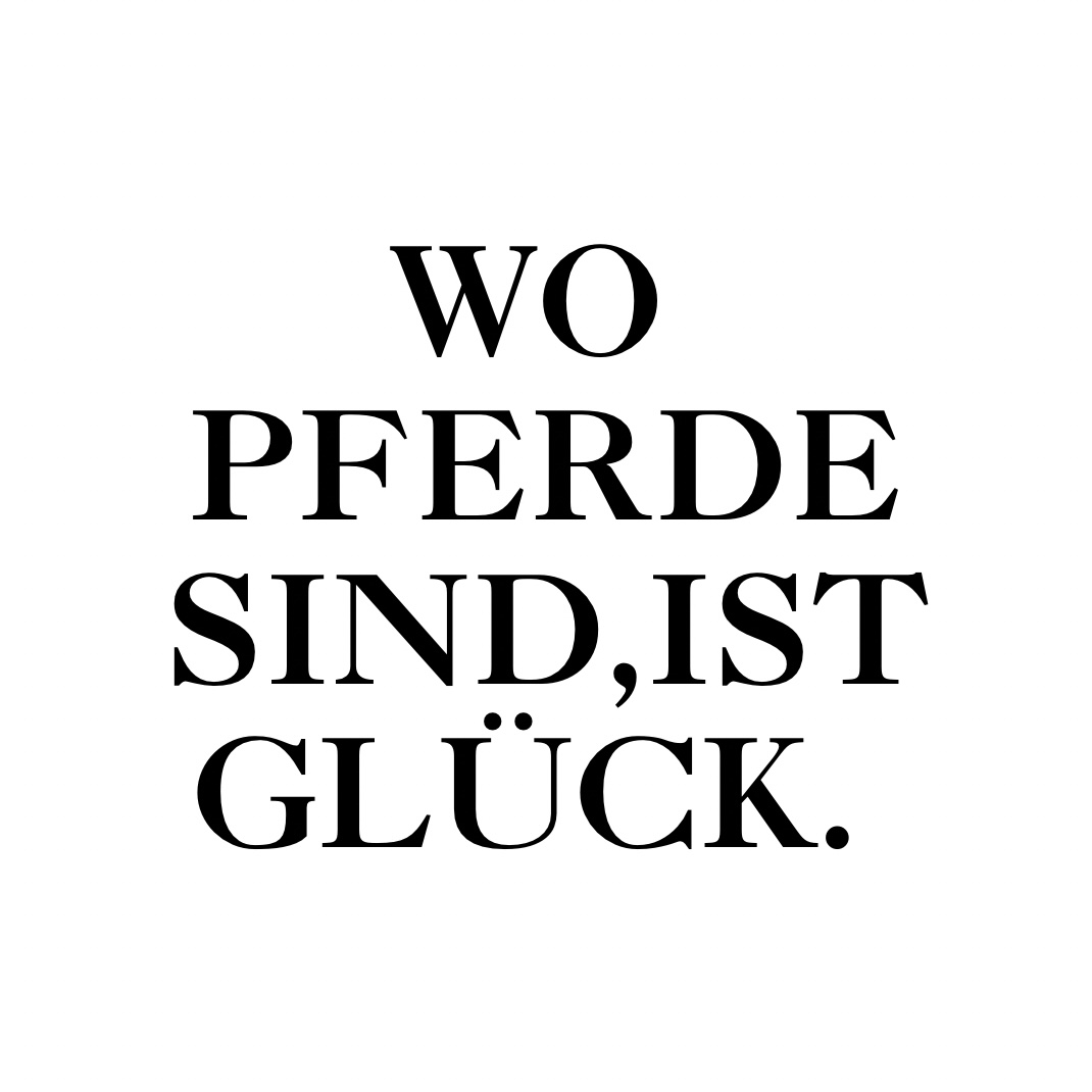 Pferde_Glueck