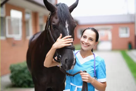 Stable profile picture