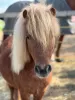 Profilbild für Benutzer @Benutzername